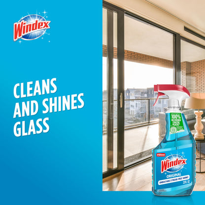 Windex Glass Cleaner Spray 23 Fl Oz