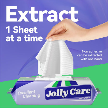 Jolly Care Unscented Adult Wet Wipes, 240 Count