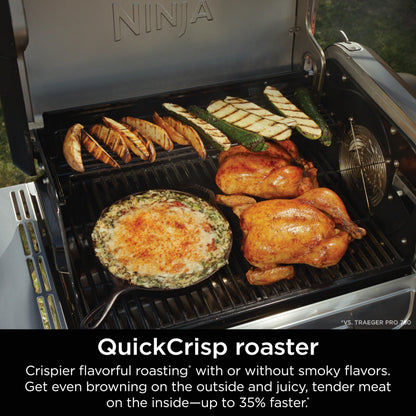 Ninja 5-in-1 Electric and Propane Grill System