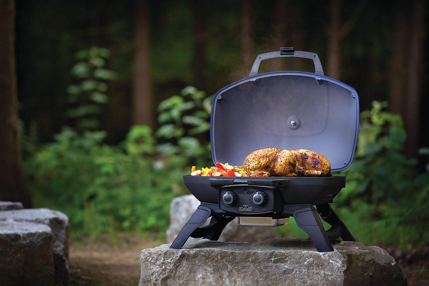 Napoleon Portable Propane Gas Grill for Camping