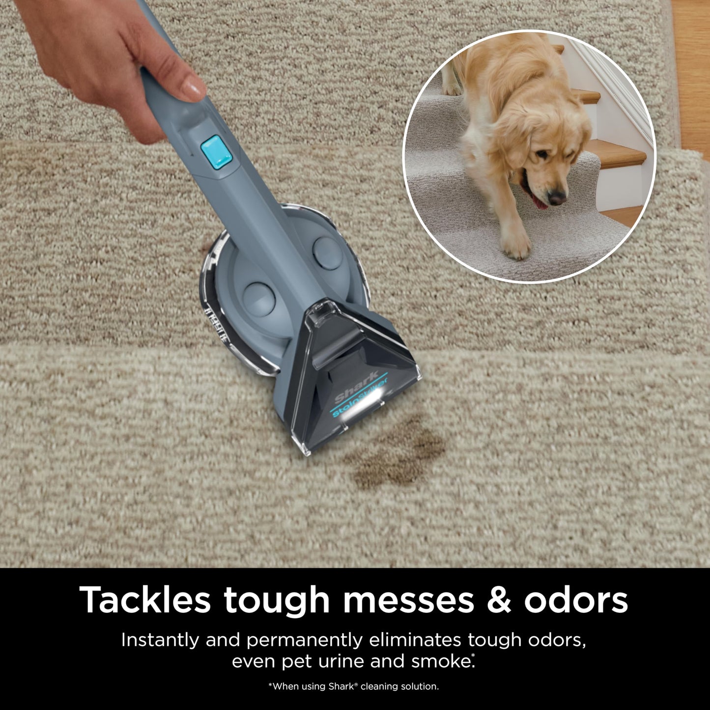 Shark Portable Carpet Cleaner with 2 Solutions