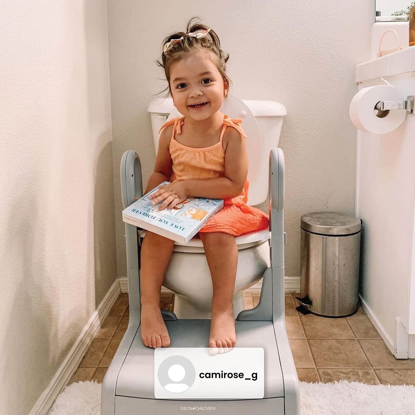 Delta Children Adjustable Potty Seat and Step Stool