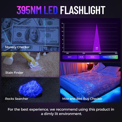 2 Pack UV Flashlight for Pet Urine Detection