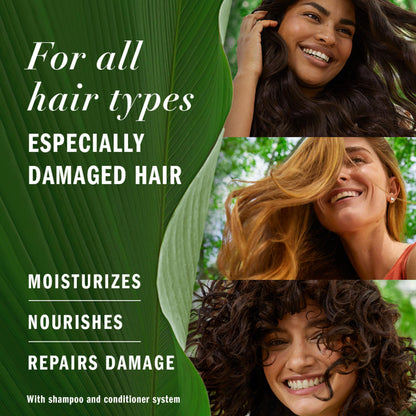 2-Pack Herbal Essences Argan Oil Shampoo & Conditioner