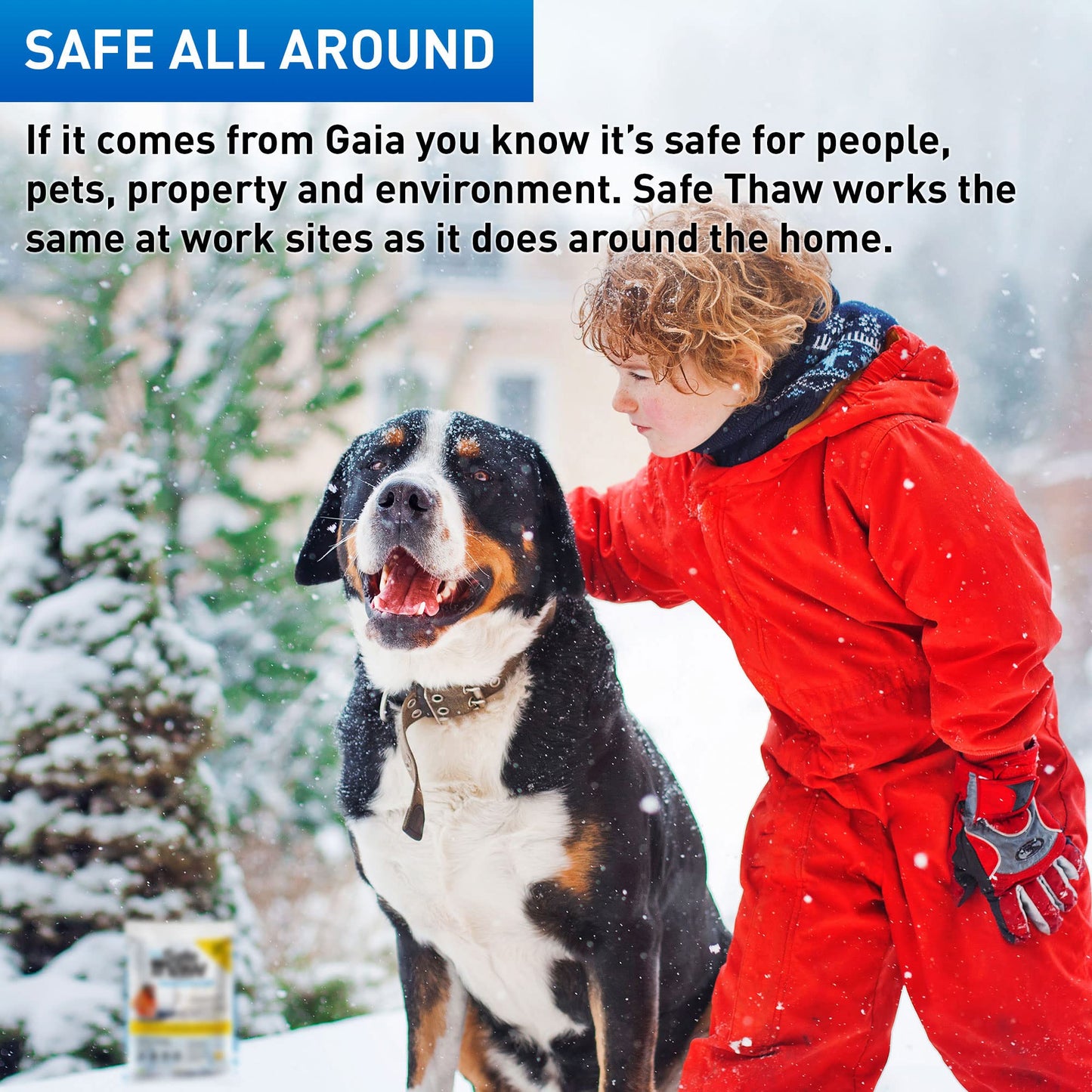 Safe Thaw Concrete Safe 100% Salt Free, Pet Safe Snow & Ice Melter, Industrial Strength, Chloride-Free and Traction Agent. Use on Asphalt, Roofs & On Any Surface, 10 Pound Jug