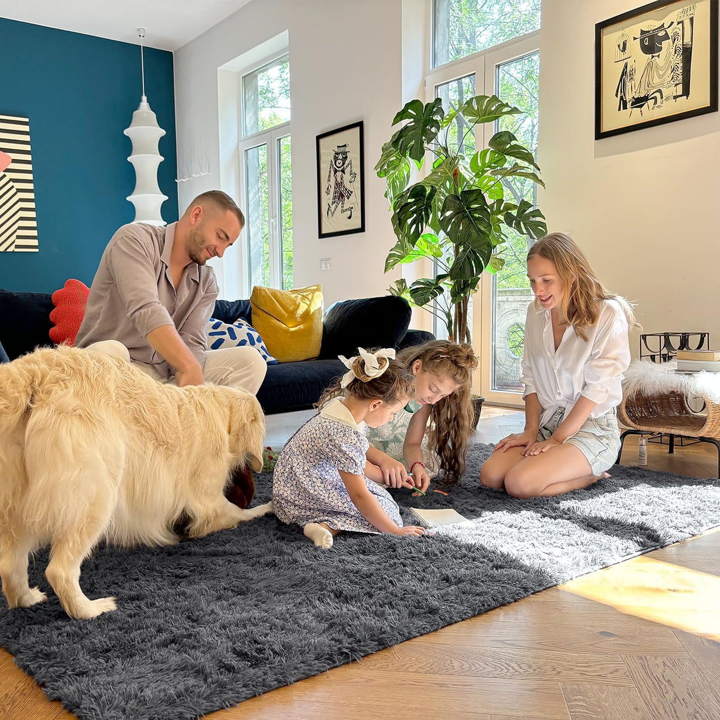OLANLY Soft Shaggy Area Rug for Living Room
