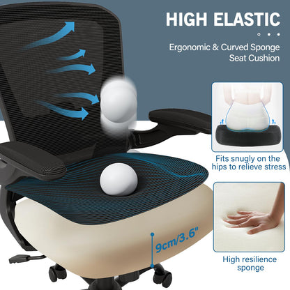 Monomi Ergonomic Desk Chair with Lumbar Support