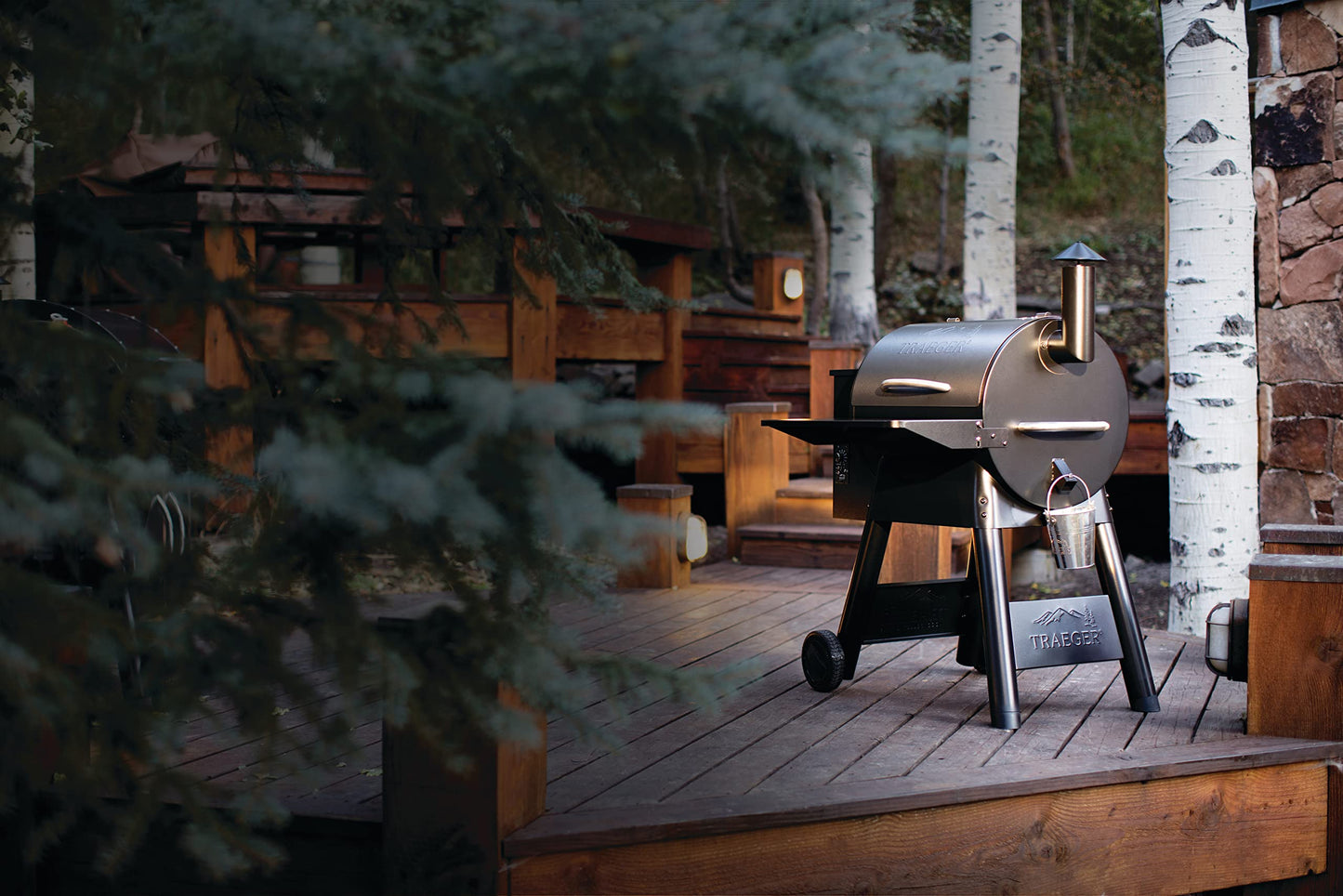 Traeger Grills Pro 22 Pellet Grill & Smoker