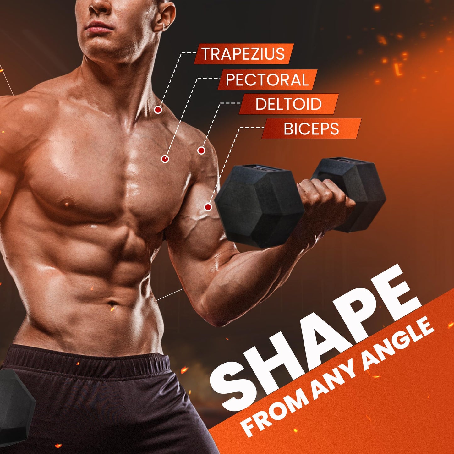 25 lbs Yes4All Hex Dumbbell Pair