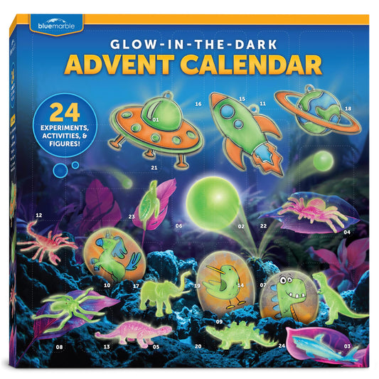 Advent Calendar with 24 Science Activities