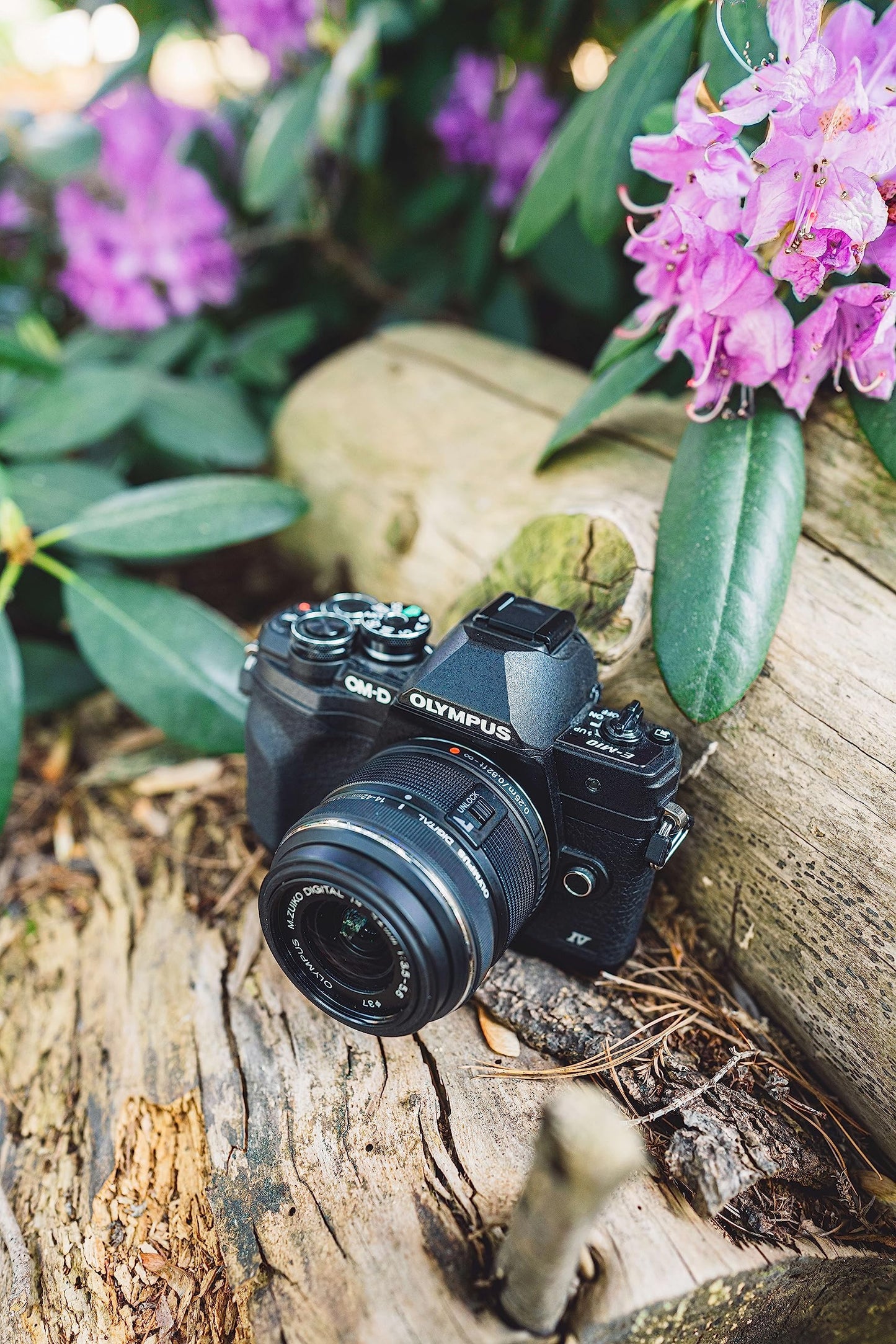 Olympus OM-D E-M10 Mark IV Camera with Lens