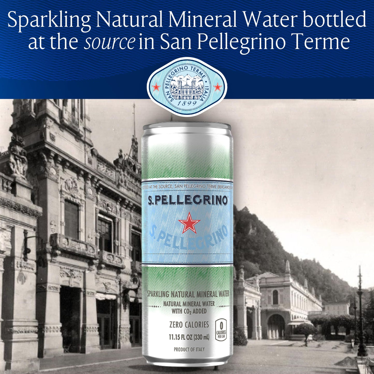 24 Pack San Pellegrino Sparkling Mineral Water