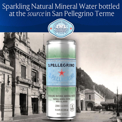 24 Pack San Pellegrino Sparkling Mineral Water