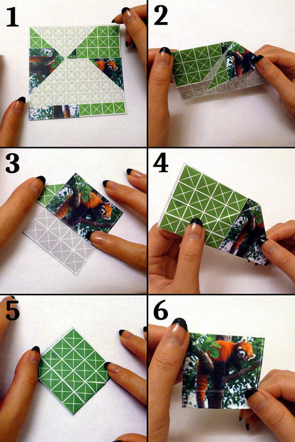 Origami Puzzle Game with 100 Challenges for All Ages