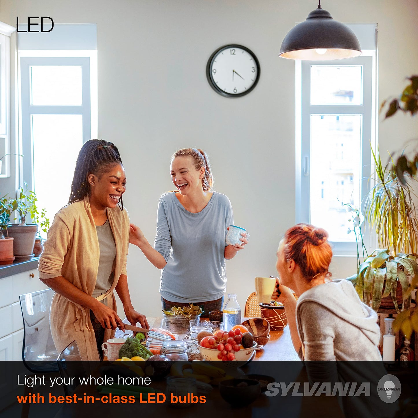 LEDVANCE 75W Equivalent A19 LED Light Bulb
