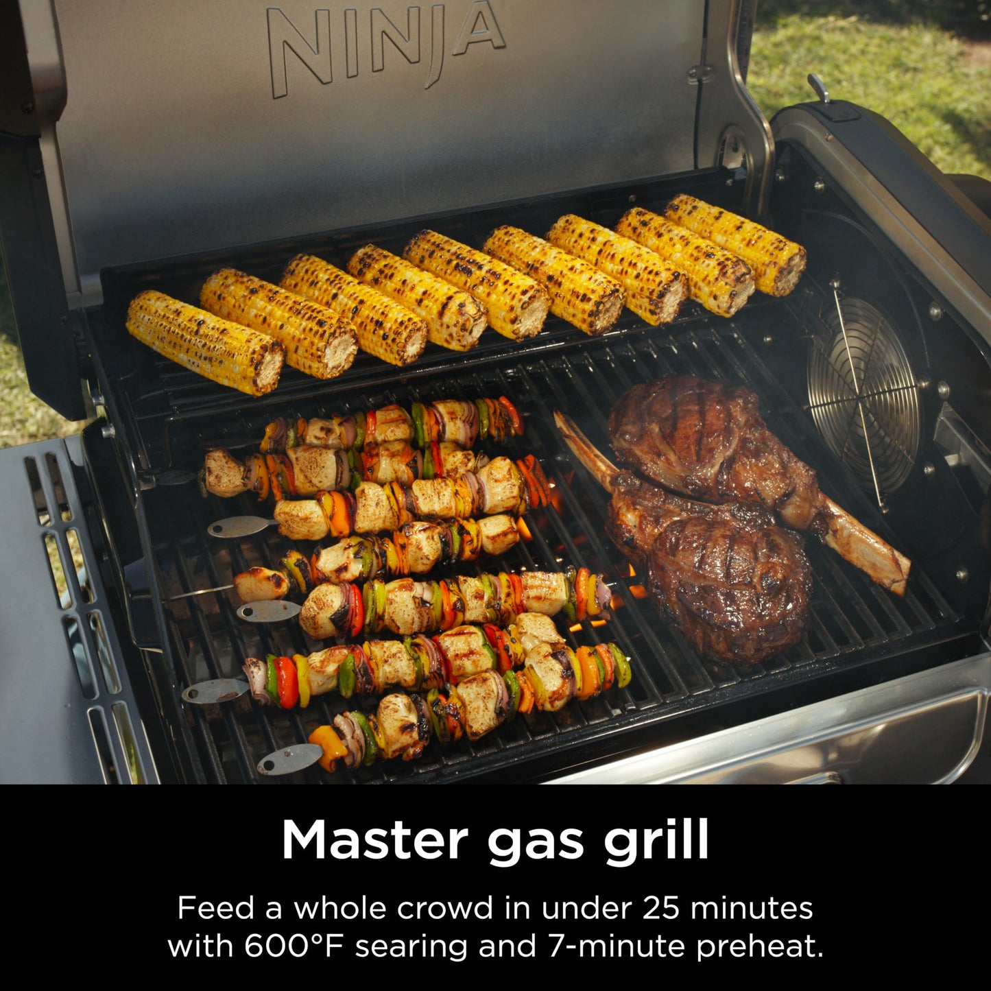 Ninja 5-in-1 Electric and Propane Grill System