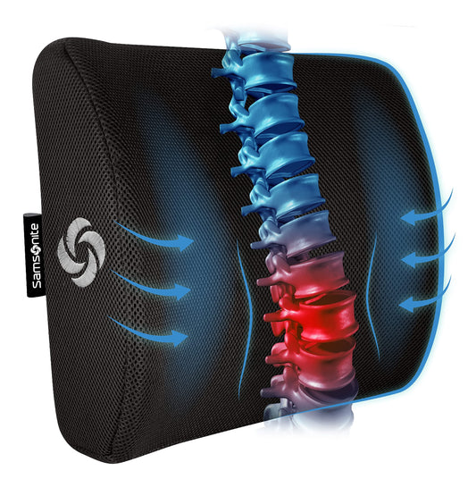 Samsonite Memory Foam Lumbar Support Cushion