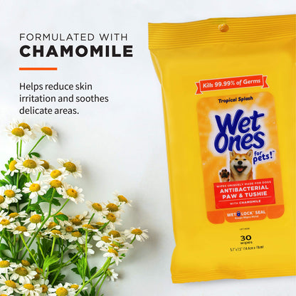 30 Pack Wet Ones Dog Wipes for Grooming