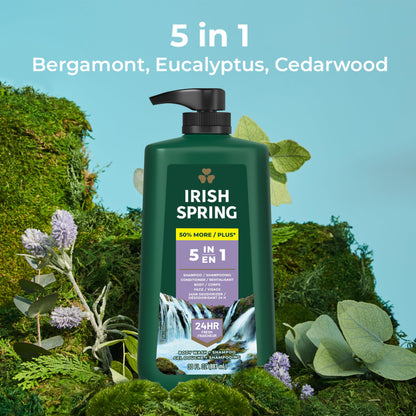 Irish Spring 5 in 1 Body Wash for Men, Men's Body Wash, Smell Fresh and Clean for 24 Hours, Conditions and Cleans Body, Face, and Hair, Made with Biodegradable Ingredients, 30 Oz Pump