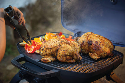 Napoleon Portable Propane Gas Grill for Camping