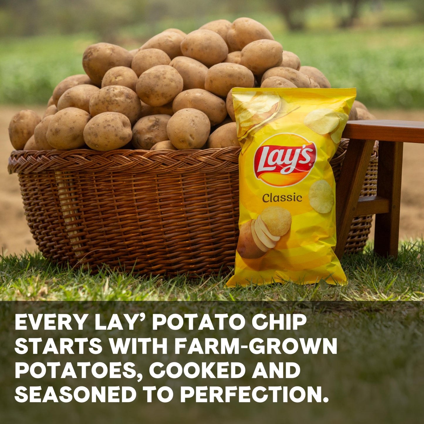 Lay's Classic Potato Chips, 1 Ounce Pack of 40
