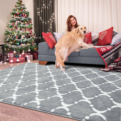 QXKAKA Soft Shag Modern Geometric Grey 4x6 Area Rugs for Living Room Bedroom, Machine Washable Memory Foam Carpet, Large Fluffy Rug for Kids Girls Nursery Dorm Home Decor, Light Gray