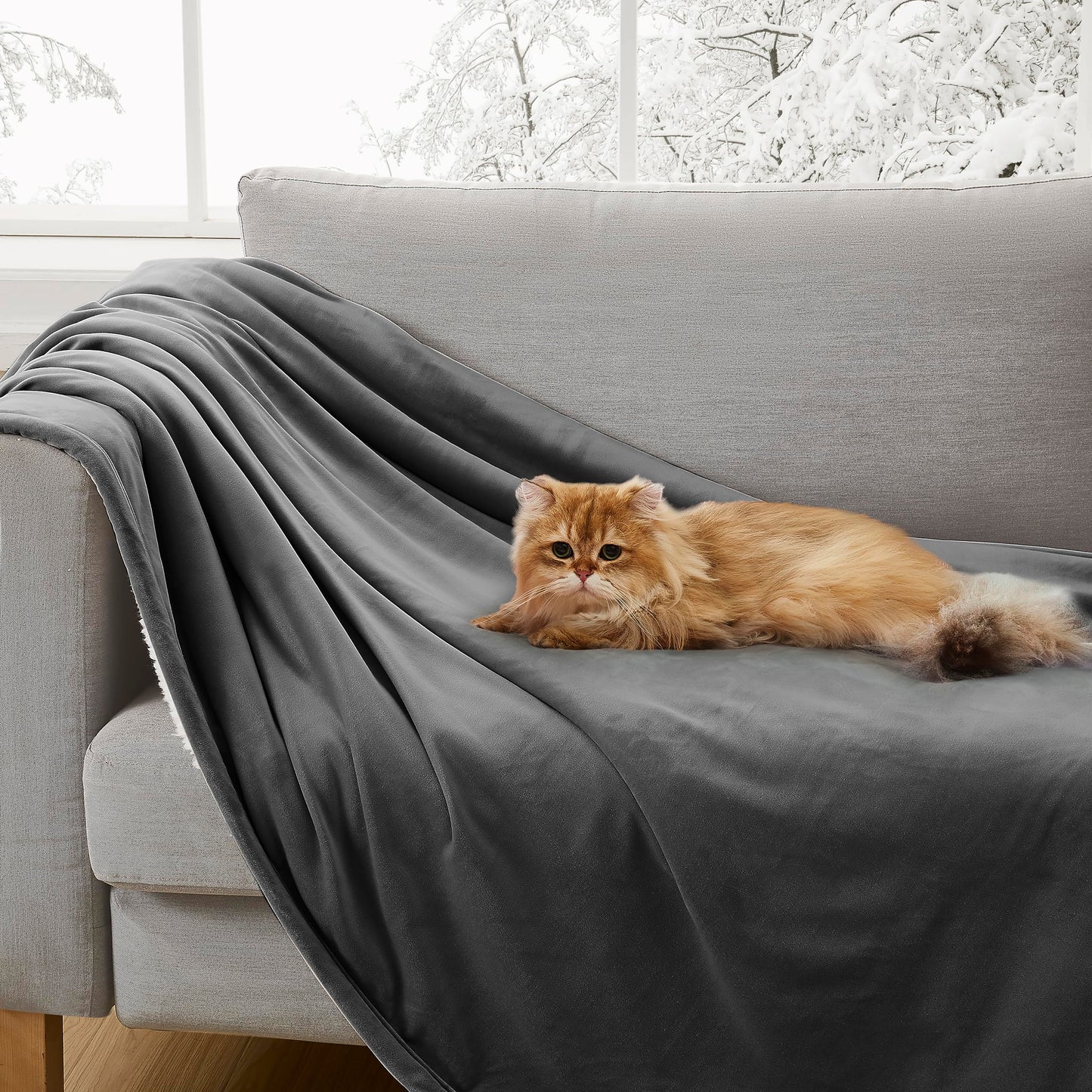 UGG 23858 Bliss Luxurious Oversized All Season Soft Plush Hypoallergenic Flannel Fleece Blanket Double Sided Machine Washable Decorative Accent Throw for Comfort and Warmth, 70 x 50-Inch, Charcoal