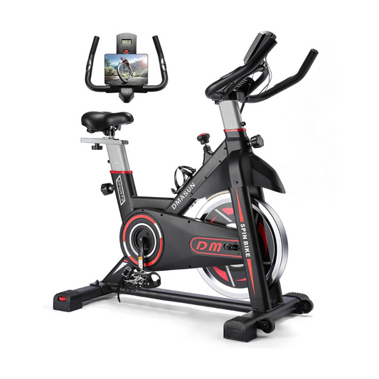 Exercise Bike, DMASUN Classic Brake Pad Stationary Bike for Home with 300 LBS Capacity, Indoor Bike with Comfortable Seat Cushion, Digital Display with Pulse