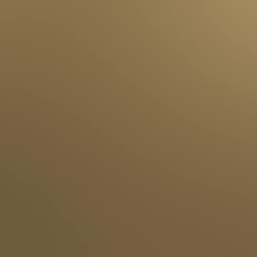 Little Seeds Monarch Hill Clementine Canopy Bed, Twin Size Frame, Gold