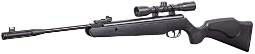 Remington Express Hunter REHNP22SX .22-Caliber NP Break Barrel Air Rifle And Scope