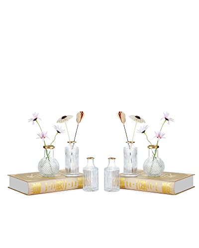 DN DECONATION 6Pcs Gold Rim Glass Bud Vases in Bulk, Gold Small Stem Bud Vase for Flowers Bulk Glass Vases Centerpiece for Tables Wedding Home Flower Decor
