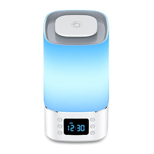 Baby Sound Machine with Night Light - Soothing White Noise for Infants and Kids,Timer & Memory Function