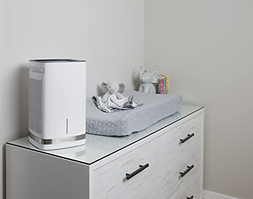 Cuisinart Air Purifier for Countertop/Medium Room, H13 HEPA Filter, CAP-500