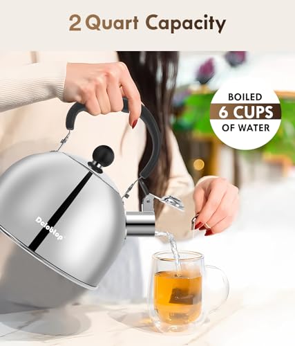 Tea Kettle for Stove Top - Stainless steel Teapot,2 Quart Camping Kettle, Efficient Heating, Audible Whistle, Safe Handle - Hot Water kettle & Tea Pot Stovetop…