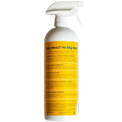 KIDS 'N' PETS - Instant All-Purpose Stain & Odor Remover – 27 fl oz - Permanently Eliminates Tough Stains & Odors – Even Urine Odors - No Harsh Chemicals, Non-Toxic & Child Safe, Multi-Color