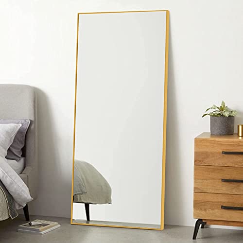 NeuType 47"x22" Wall Mirror Gold Mirror Floor Mirror Bathroom Mirror Wall-Mounted Mirrors Aluminum Alloy Frame No Stand