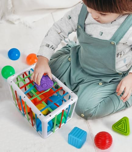 SEPHIX Montessori Sensory Toys for 1 Year Old, Baby Sorter Toy Activity Cube with Sensory Blocks, Autistic Children Learning Toys for Toddler Girls Boys Gifts, Infant Baby Travel Toys 6-12-18 Months