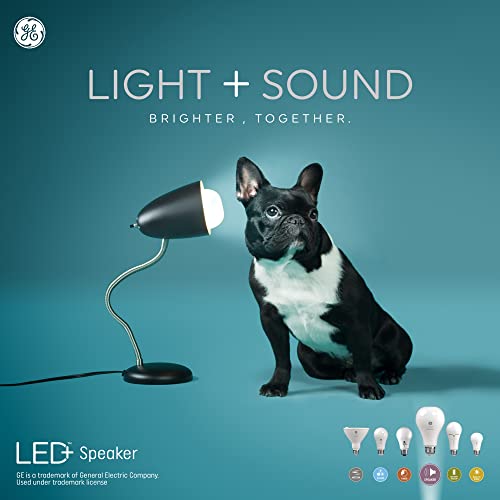 General Electric LED+ Speaker Soft White A21 (1-Pack)
