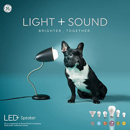 General Electric LED+ Speaker Soft White A21 (1-Pack)