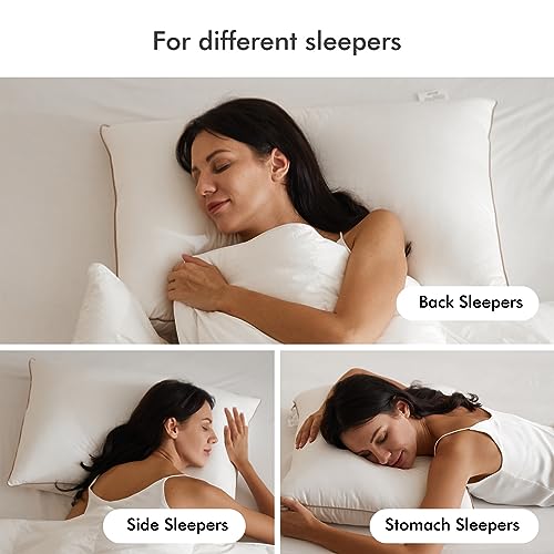 Royoliving Premium Feather Down Bed Pillows for Sleeping Standard Size Pack of 2-100% Cotton Fabric, Medium Firm, Soft Support Surround (White, Standard)