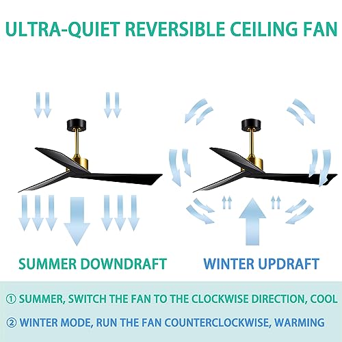 ANFERSONLIGHT 52-Inch Indoor Ceiling Fan with Remote Control, 3-Blades, Reversible Silent DC Motor - Black Finish for Bedroom, Living Room and Dining Room Fan/Light