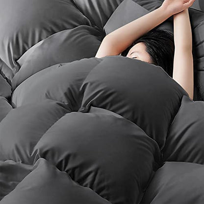 BEDHOURS Queen Comforter Set-3 Pieces Down Alternative Queen Size-All Season Reversible Comforter with 2 Pillow Shams-Corner Tabs Machine Washable (Dark Grey Queen)