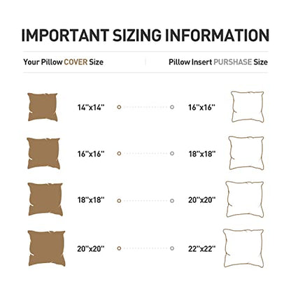 Acanva Premium Polyester Stuffer Square Form Sham Throw Pillow Inserts, 20 in（2 Count）, White