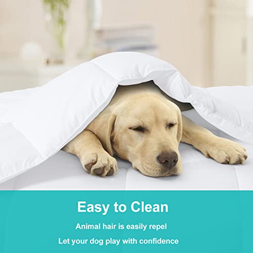 MERITLIFE Comforter Queen Size All Season Soft Down Alternative Comforter Lightweight & Breathable 2100 Series Reversible Duvet Insert with Corner Ties-Machine Washable (White Queen,88"x88")