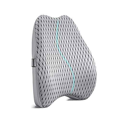 Bipintip Large Lumbar Support Pillow for Office Chair with Adjustable Strap and Washable Cover - Memory Foam Back Support for Back Pain Relief,Improve Posture,Desk Chair,Couch(Gray)