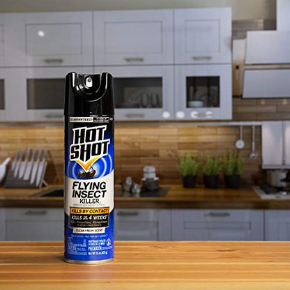 Hotshot Flying Insect Killer, 15 Oz, Aerosol