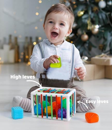 SEPHIX Montessori Sensory Toys for 1 Year Old, Baby Sorter Toy Activity Cube with Sensory Blocks, Autistic Children Learning Toys for Toddler Girls Boys Gifts, Infant Baby Travel Toys 6-12-18 Months