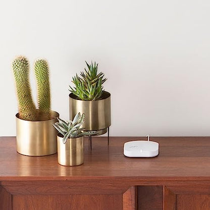 Amazon eero Pro 6 mesh Wi-Fi 6 router, Basic Box Packaging, 3 pack