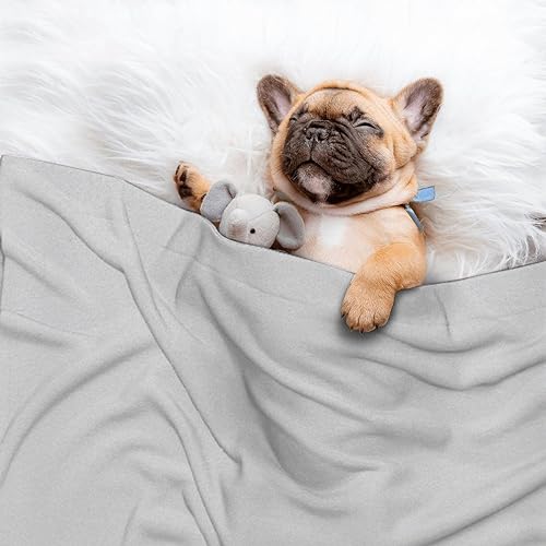 Tortillas Blanket Super Soft Gray Fleece Blanket Lightweight Throw Blanket Gifts for Family in All Season - Warm Plush Throw Blankets for Bed/Couch/Sofa 30"x40" for Baby/Child