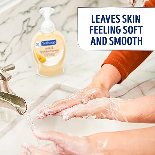 Softsoap Naturals Moisturizing Liquid Hand Soap, Milk & Honey - 7.5 fl oz